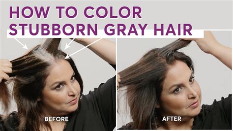 best hair color for resistant gray|best over the counter hair dye for gray.